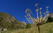 Bellissimo ritorno sul Pizzo Tre Signori (2554 m) da Ornica nella splendida giornata del 27 settembre 2018